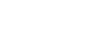 logo white